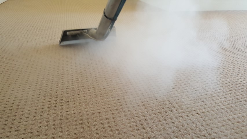 carpet steam cleaning
